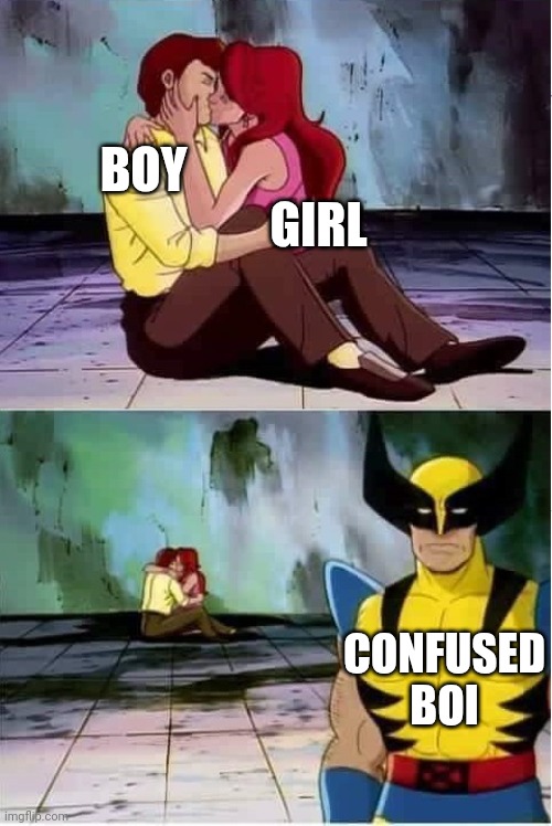 ... | BOY; GIRL; CONFUSED BOI | image tagged in sad wolverine left out of party | made w/ Imgflip meme maker