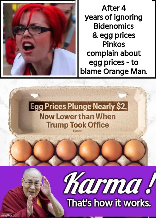 Karma and egg prices | After 4 years of ignoring Bidenomics & egg prices Pinkos complain about egg prices - to blame Orange Man. | image tagged in liberals,hoax,eggs,inflation | made w/ Imgflip meme maker