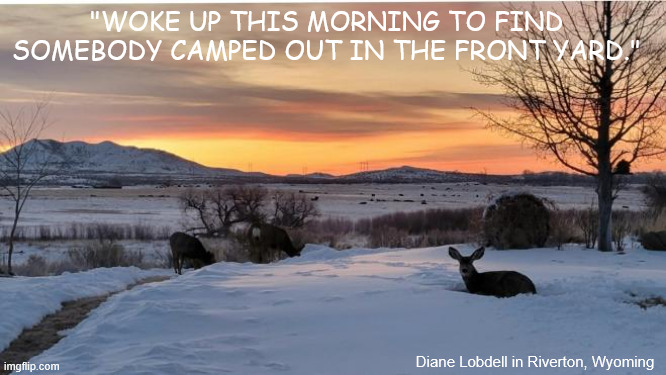 Sunrise | "WOKE UP THIS MORNING TO FIND SOMEBODY CAMPED OUT IN THE FRONT YARD."; Diane Lobdell in Riverton, Wyoming | image tagged in sunrise,awesome,pics | made w/ Imgflip meme maker