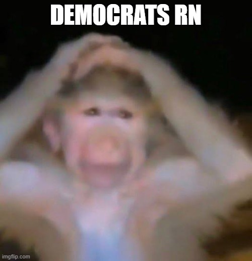 DEMOCRATS RN | image tagged in chud gaye guru | made w/ Imgflip meme maker