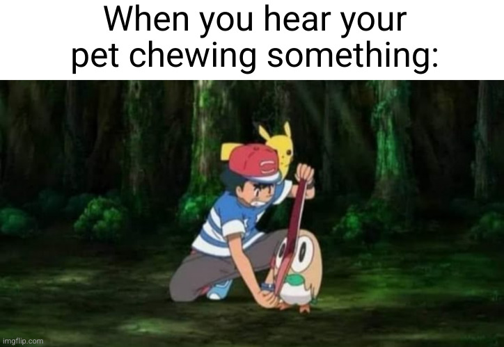 is that a HALF OF A PS5 CONTROLLER | When you hear your pet chewing something: | image tagged in pets,dogs,cats,ps5,chewing,pokemon | made w/ Imgflip meme maker