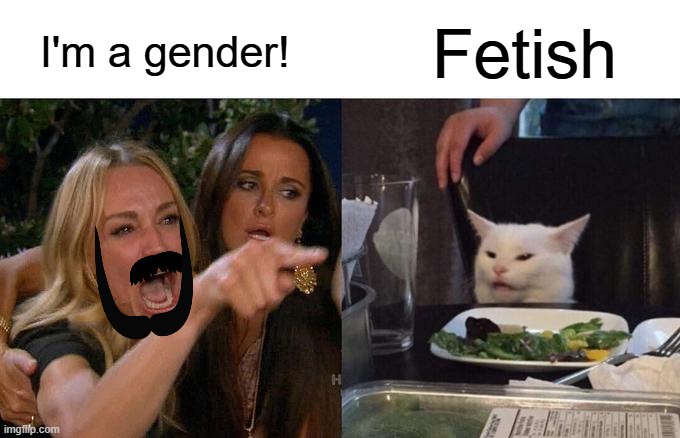 Woah'man' Yelling at Cat | I'm a gender! Fetish | image tagged in memes,woman yelling at cat | made w/ Imgflip meme maker