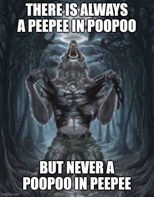 Ormg so siguma gois!!1! | THERE IS ALWAYS A PEEPEE IN POOPOO; BUT NEVER A POOPOO IN PEEPEE | image tagged in alpha wolf | made w/ Imgflip meme maker