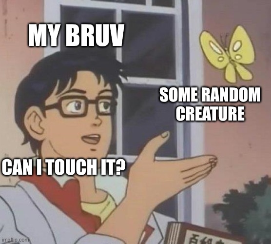 jitrippin | MY BRUV; SOME RANDOM CREATURE; CAN I TOUCH IT? | image tagged in memes,is this a pigeon | made w/ Imgflip meme maker