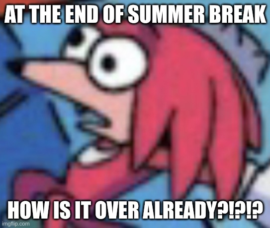 Knuckles go huh | AT THE END OF SUMMER BREAK; HOW IS IT OVER ALREADY?!?!? | image tagged in knuckles go huh | made w/ Imgflip meme maker