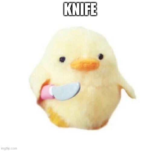 Duck with knife | KNIFE | image tagged in duck with knife | made w/ Imgflip meme maker