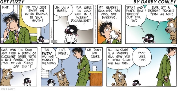 Get Fuzzy | image tagged in comics | made w/ Imgflip meme maker