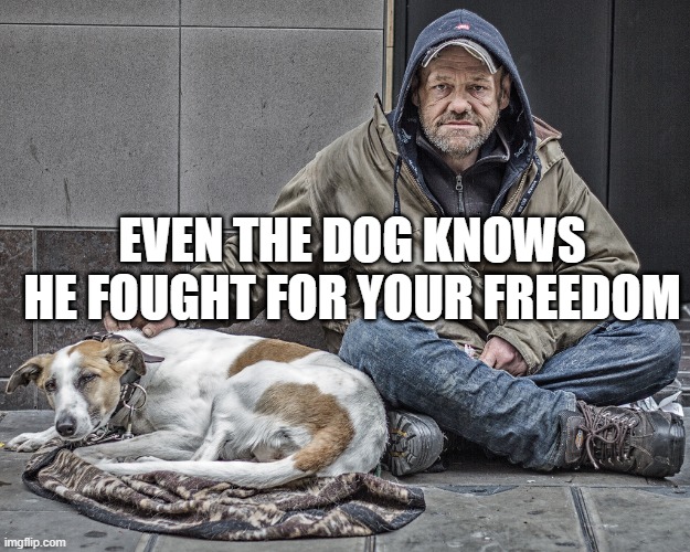 every day is veterans day | EVEN THE DOG KNOWS HE FOUGHT FOR YOUR FREEDOM | image tagged in homeless-vet,veterans,cute dogs | made w/ Imgflip meme maker