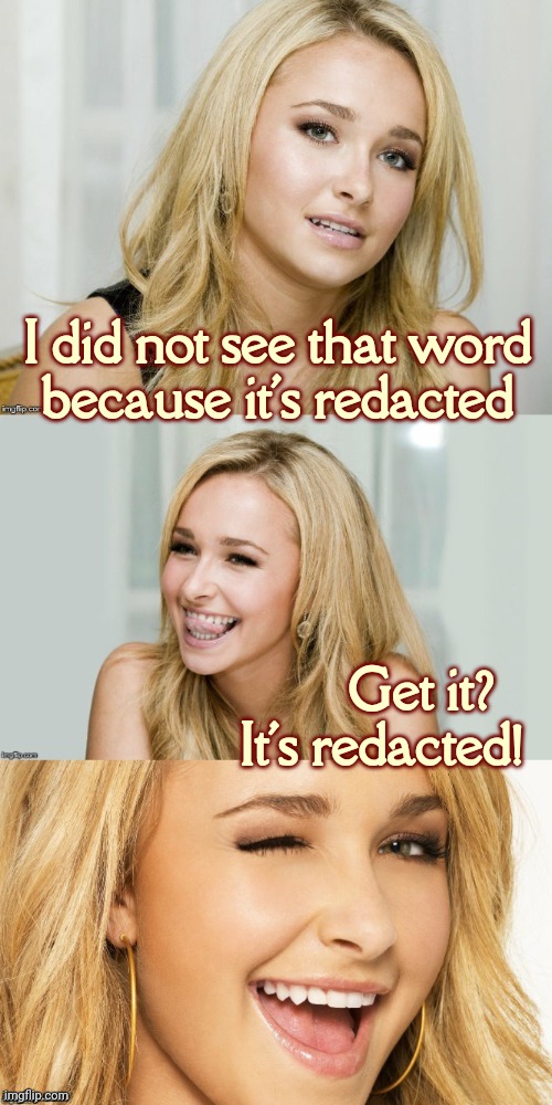 [see what I did there?] | I did not see that word
because it's redacted; Get it?
It's redacted! | image tagged in bad pun hayden panettiere | made w/ Imgflip meme maker