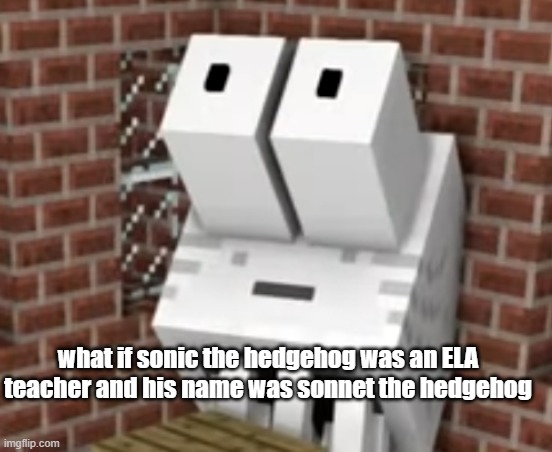 insanituy | what if sonic the hedgehog was an ELA teacher and his name was sonnet the hedgehog | image tagged in zayummmmmm | made w/ Imgflip meme maker