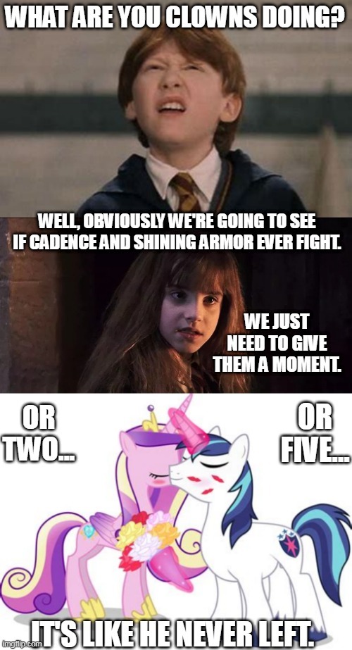 My little Potter Love nuts part 3 | image tagged in mlp fim | made w/ Imgflip meme maker