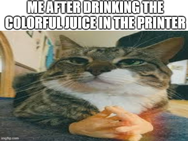 I love drinking printer ink | ME AFTER DRINKING THE COLORFUL JUICE IN THE PRINTER | image tagged in juice,printer | made w/ Imgflip meme maker