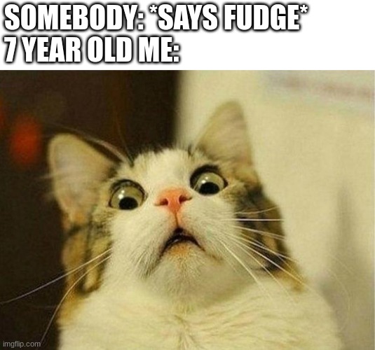 Scared Cat | SOMEBODY: *SAYS FUDGE*
7 YEAR OLD ME: | image tagged in memes,scared cat | made w/ Imgflip meme maker