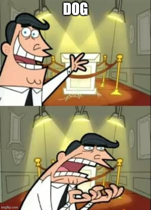 Another shitpost | DOG | image tagged in memes,this is where i'd put my trophy if i had one | made w/ Imgflip meme maker