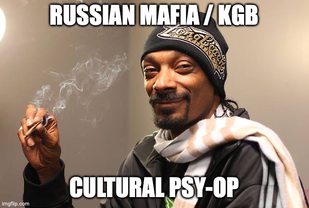 Snoop Dogg | RUSSIAN MAFIA / KGB; CULTURAL PSY-OP | image tagged in snoop dogg | made w/ Imgflip meme maker