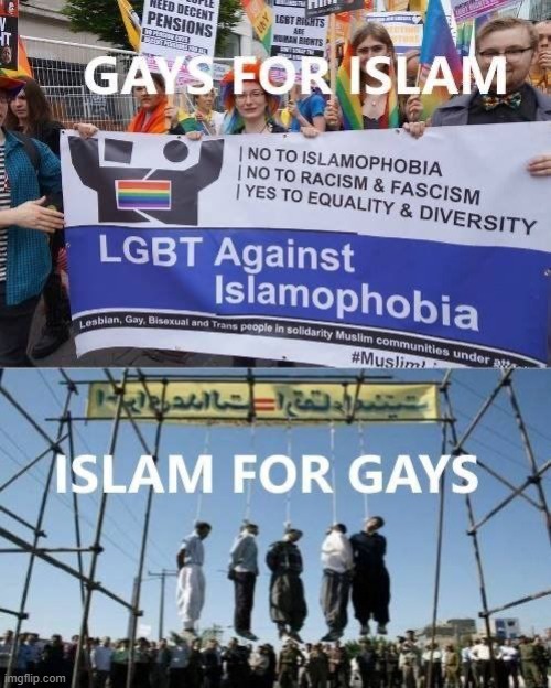 9n5nlx.jpg