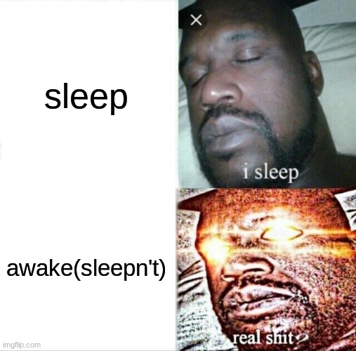 Sleeping Shaq Meme | sleep; awake(sleepn't) | image tagged in memes,sleeping shaq | made w/ Imgflip meme maker