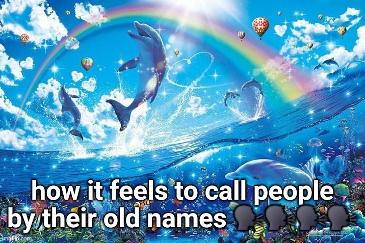 Happy dolphin rainbow | how it feels to call people by their old names 🗣🗣🗣🗣 | image tagged in happy dolphin rainbow | made w/ Imgflip meme maker