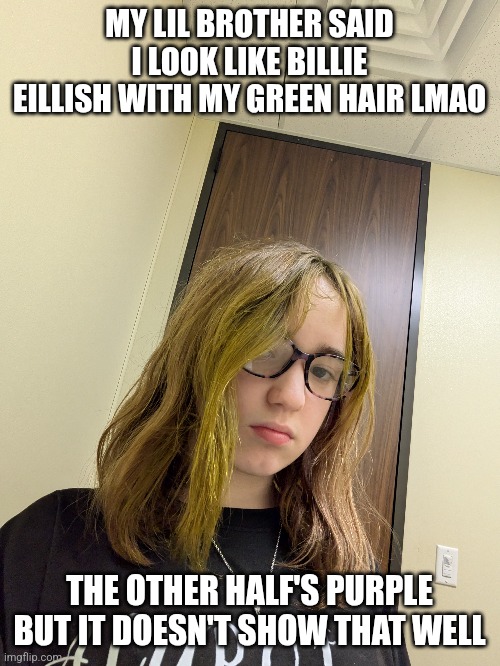 It didn't show well in the pic..but oh well | MY LIL BROTHER SAID I LOOK LIKE BILLIE EILLISH WITH MY GREEN HAIR LMAO; THE OTHER HALF'S PURPLE BUT IT DOESN'T SHOW THAT WELL | made w/ Imgflip meme maker