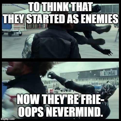 Black Panther/Winter Soldier | TO THINK THAT THEY STARTED AS ENEMIES; NOW THEY'RE FRIE-
OOPS NEVERMIND. | image tagged in black panther/winter soldier | made w/ Imgflip meme maker