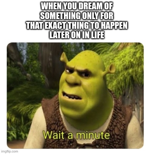 fishy fishy fishy | WHEN YOU DREAM OF
SOMETHING ONLY FOR
THAT EXACT THING TO HAPPEN
LATER ON IN LIFE | image tagged in shrek wait a minute,dream | made w/ Imgflip meme maker