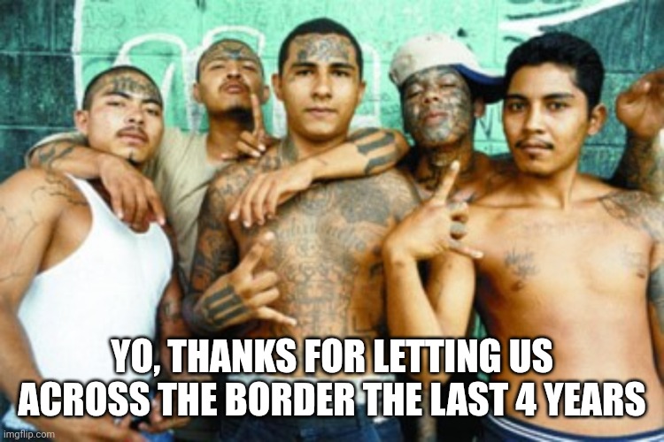 mexican gang members | YO, THANKS FOR LETTING US ACROSS THE BORDER THE LAST 4 YEARS | image tagged in mexican gang members | made w/ Imgflip meme maker