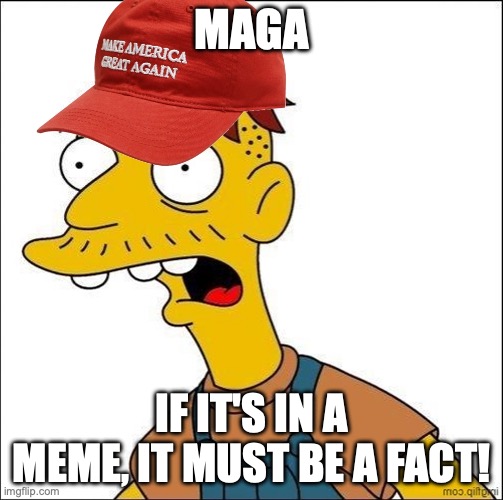 MAGA - IF IT'S IN A MEME, IT MUST BE A FACT! | MAGA; IF IT'S IN A MEME, IT MUST BE A FACT! | image tagged in maga | made w/ Imgflip meme maker