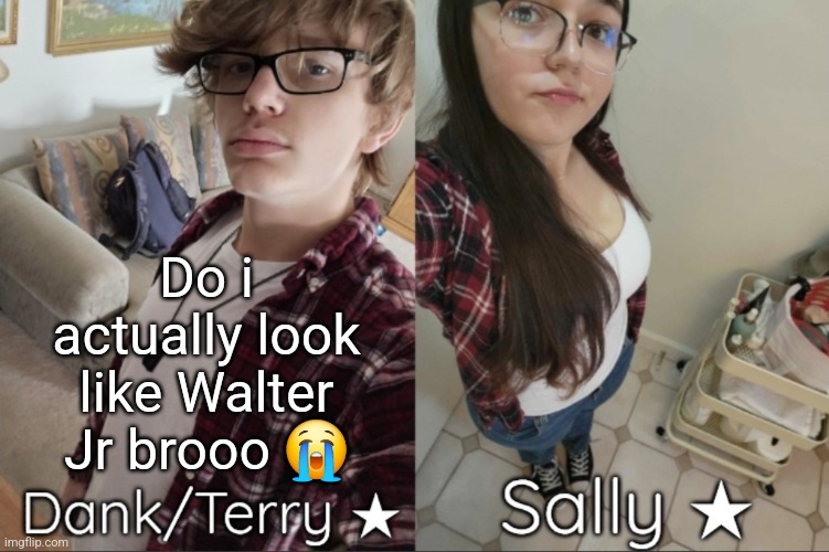 Dank/Sally matching shared temp | Do i actually look like Walter Jr brooo 😭 | image tagged in dank/sally matching shared temp | made w/ Imgflip meme maker