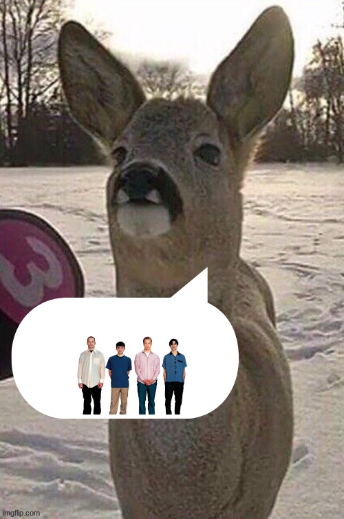 deer yap session | image tagged in deer yap session | made w/ Imgflip meme maker