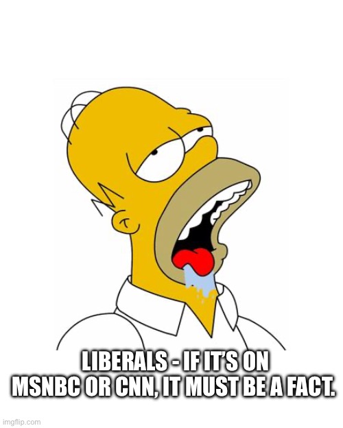 Homer Simpson Drooling | LIBERALS - IF IT’S ON MSNBC OR CNN, IT MUST BE A FACT. | image tagged in homer simpson drooling | made w/ Imgflip meme maker