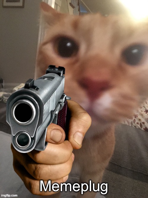 In comments | Memeplug | image tagged in cat pointing gun | made w/ Imgflip meme maker