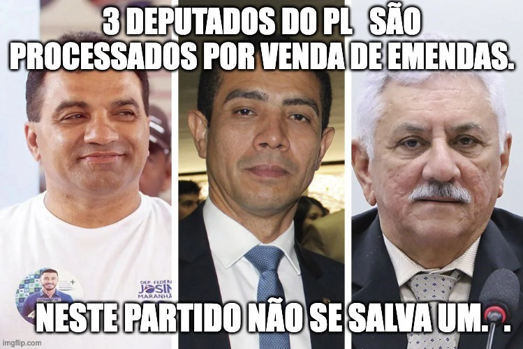 Deputados do PL | . | image tagged in deputados,pl,bolsonaro,congresso,direita,conservador | made w/ Imgflip meme maker