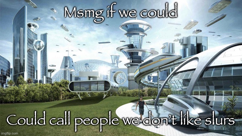 If only | Msmg if we could; Could call people we don’t like slurs | image tagged in the future world if | made w/ Imgflip meme maker