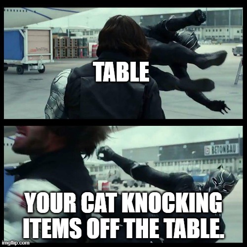 Black Panther/Winter Soldier | TABLE; YOUR CAT KNOCKING ITEMS OFF THE TABLE. | image tagged in black panther/winter soldier | made w/ Imgflip meme maker