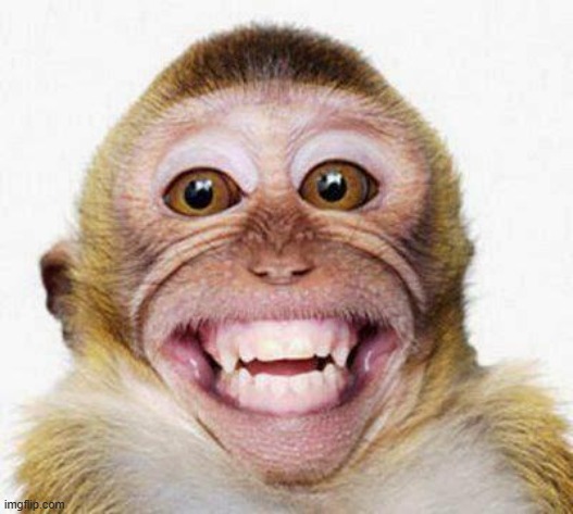 Monkey Smile | image tagged in monkey smile | made w/ Imgflip meme maker