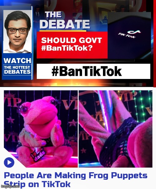 Who's with me ? | image tagged in tiktok ban,puppets,still a better love story than twilight,i'm gonna pretend i didn't see that,sicko mode | made w/ Imgflip meme maker