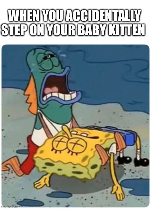 WHEN YOU ACCIDENTALLY STEP ON YOUR BABY KITTEN | image tagged in dank memes,wisdom,politics lol,relatable,dark humor,mwahahaha | made w/ Imgflip meme maker