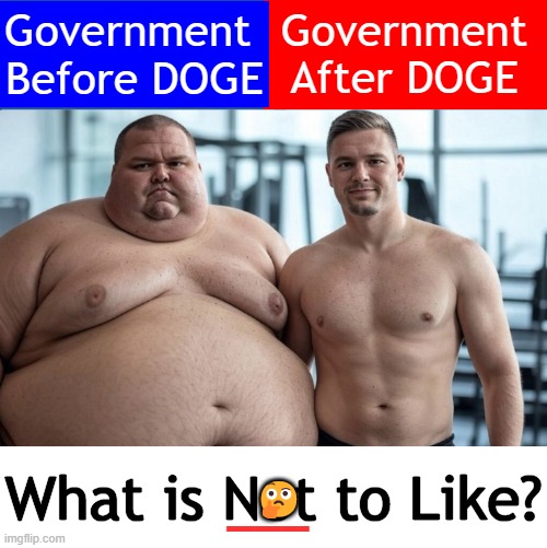 The ones complaining are the ones stealing from & lying to taxpayers | Government
After DOGE; Government 
Before DOGE; What is Not to Like? 🤔; ___ | image tagged in right and wrong,good vs evil,doge,government corruption,thieves,political humor | made w/ Imgflip meme maker