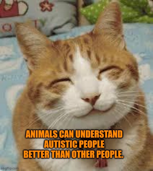 Autism and animals | ANIMALS CAN UNDERSTAND AUTISTIC PEOPLE BETTER THAN OTHER PEOPLE. | image tagged in animals,autism,comfort | made w/ Imgflip meme maker