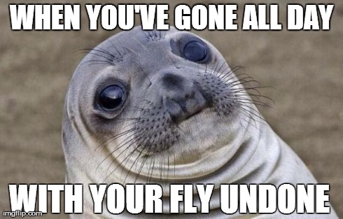 Awkward Moment Sealion | WHEN YOU'VE GONE ALL DAY WITH YOUR FLY UNDONE | image tagged in memes,awkward moment sealion | made w/ Imgflip meme maker