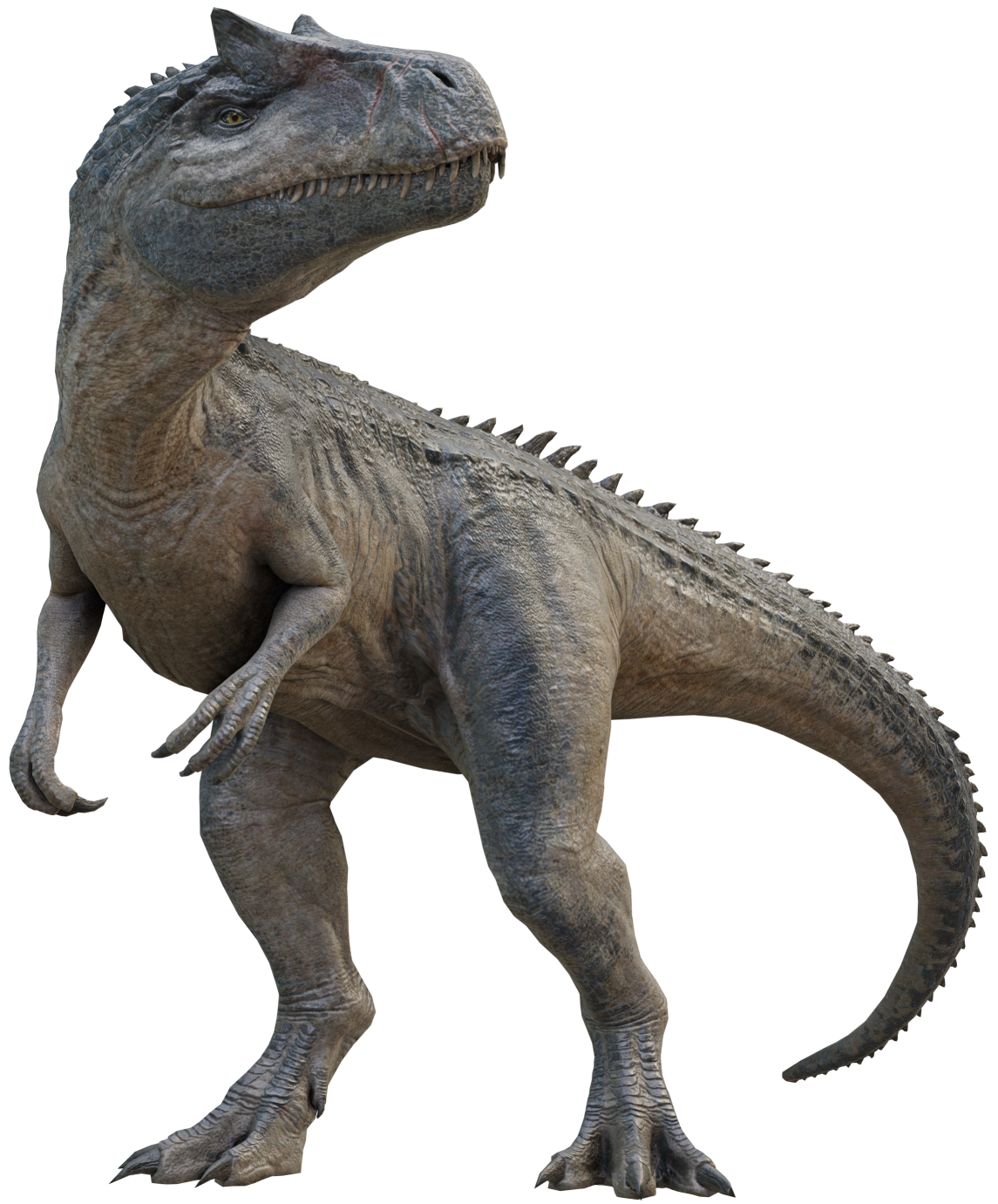 Allosaurus 12 (BABR Design) Blank Meme Template
