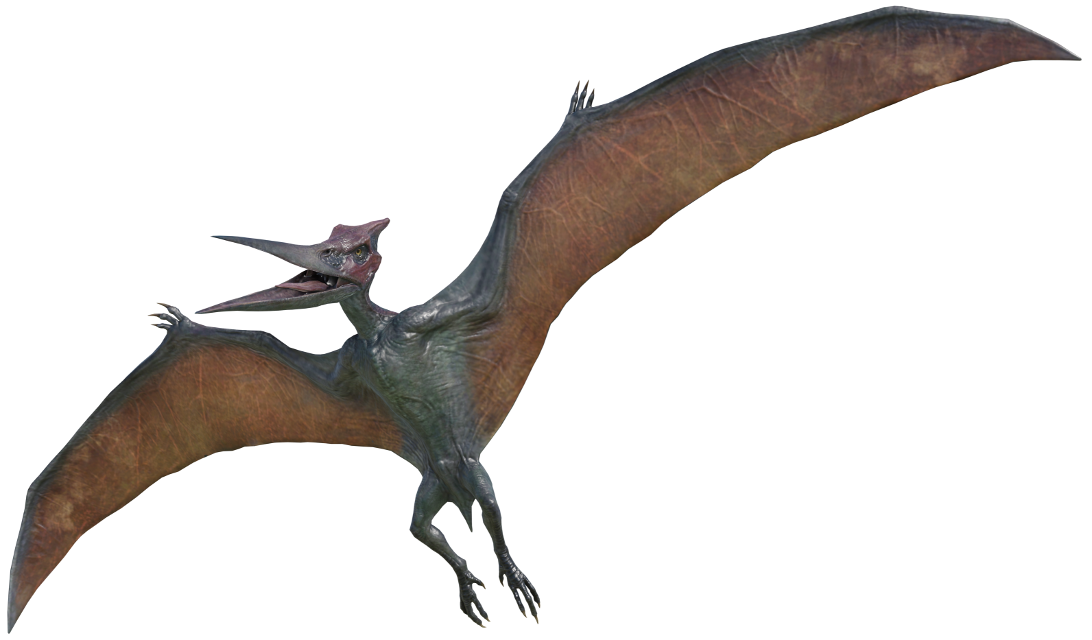 Pteranodon 4 (JW Design) Blank Meme Template