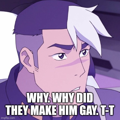 He was perfect... | WHY. WHY DID THEY MAKE HIM GAY. T-T | image tagged in soft shiro | made w/ Imgflip meme maker