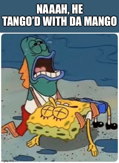 NAAAH, HE TANGO’D WITH DA MANGO | image tagged in wisdom,lol so funny,funny memes,relatable memes,political correctness | made w/ Imgflip meme maker