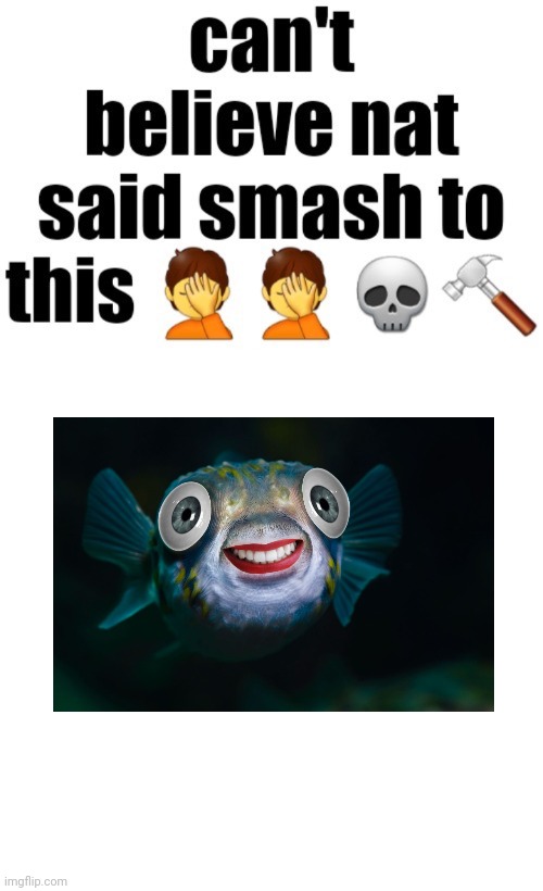 Shit looks like something she would actually smash | image tagged in can t believe nat said smash to this,memes,msmg | made w/ Imgflip meme maker