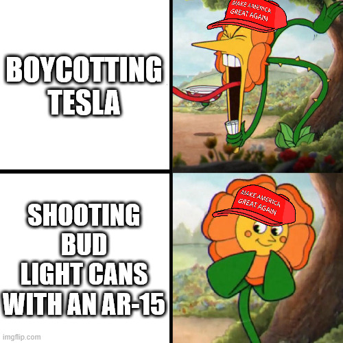 Cuphead Flower | BOYCOTTING TESLA; SHOOTING BUD LIGHT CANS WITH AN AR-15 | image tagged in cuphead flower | made w/ Imgflip meme maker