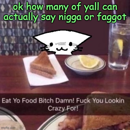 eat yo food bitch damn! | ok how many of yall can actually say nigga or faggot | image tagged in eat yo food bitch damn | made w/ Imgflip meme maker