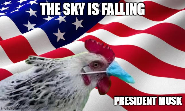 These Mothercluckers all sing from the same Hymnal | THE SKY IS FALLING; PRESIDENT MUSK | image tagged in chiken flag sky falling president musk meme | made w/ Imgflip meme maker