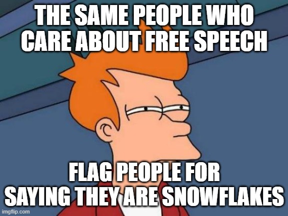 Truth hurts - Lizzo | THE SAME PEOPLE WHO CARE ABOUT FREE SPEECH; FLAG PEOPLE FOR SAYING THEY ARE SNOWFLAKES | image tagged in memes,futurama fry,pathetic don | made w/ Imgflip meme maker