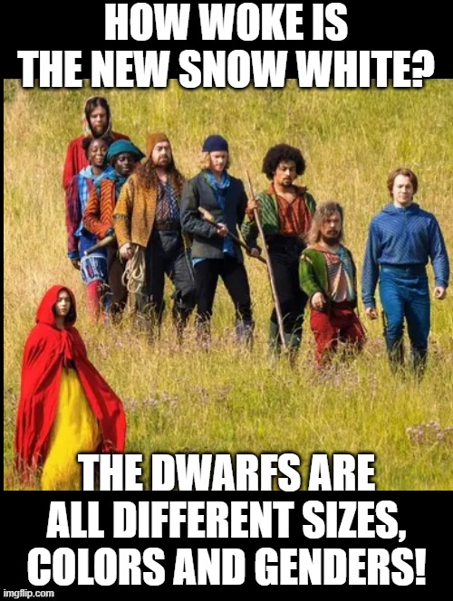 How woke is the new Snow White? | HOW WOKE IS THE NEW SNOW WHITE? THE DWARFS ARE ALL DIFFERENT SIZES, COLORS AND GENDERS! | image tagged in woke | made w/ Imgflip meme maker